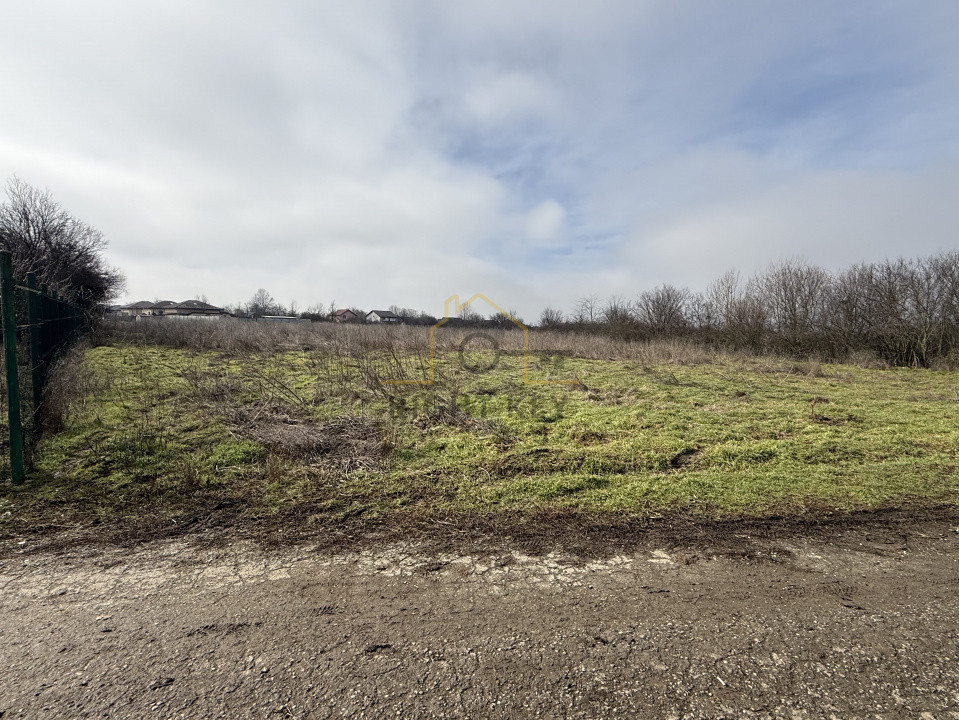 Oportunitate! Teren Sabareni intravilan 6200MP D:28,5M!