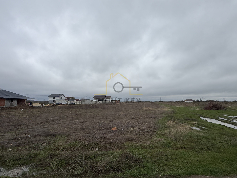 Teren Intravilan Sabareni, 5539 mp, 2 Fronturi, La Asfalt, Comision 0%