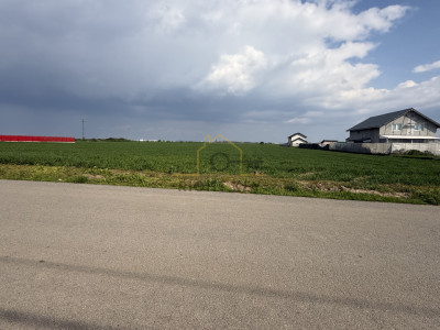 Teren Intravilan Dragomiresti Vale, Loturi sau Integral, Comision 0%