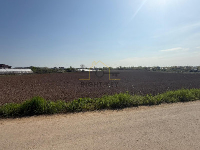 Teren Intravilan Joita, 6888 mp, utilitati, la asfalt, Comision 0%